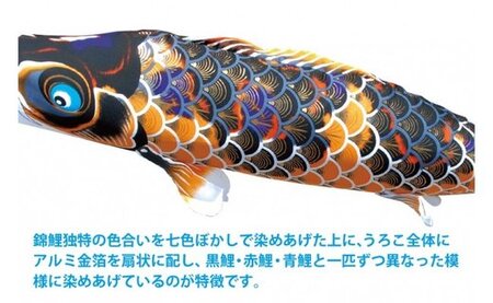 kk-105　３m６点セット　献上手染友禅之鯉　京錦