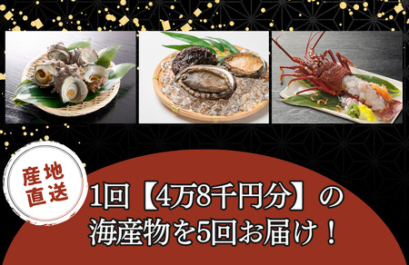 海鮮スペシャル定期便 Bセット　【 魚介】