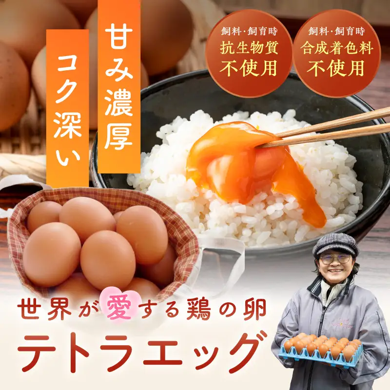 テトラエッグ(40個/月)【6ヵ月定期便】【F8-004】