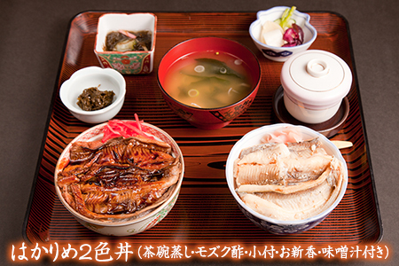 寿司・活魚料理 いそね　はかりめ（穴子）「２色丼」又は「ひつまぶし」ペア食事券