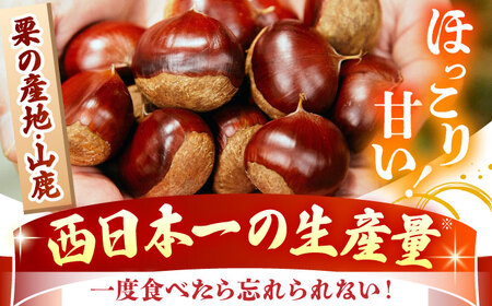 【先行予約】 やまが和栗 大粒むき栗 約600g（約150g×4pc）小分け【古川農園】小分け むき栗 大粒 熊本 山鹿 和栗 くり クリ 冷凍 国産 [ZES001]