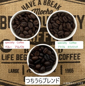 【3ヵ月定期便】【月替わり定期便】のし付き　2産地＋季節のブレンド各200g　初回テイステングノート付 ※離島への配送不可 