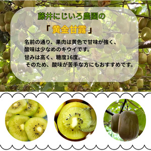【先行予約】キウイ 黄金甘露 約1.9kg 山口県 阿武町産 国産 希少品種 早生 とろける甘さ ジューシー 数量限定《2026年9月中旬～10月中旬発送》