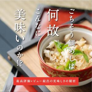 【三つ星グルメ】ごちそう鯛めしDX 4合セット (4～5人前)【１ヶ月程度で順次発送】炊飯器だけで完成 簡単調理【福島県×いわき市】AN007
