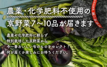 【6回定期便】＜アスカ有機農園＞旬の京野菜セットＳ 野菜 