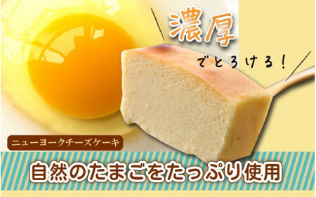 [037-a008_A] スイーツ ニューヨークチーズケーキ（小）と ミニ台湾カステラ の詰め合わせ