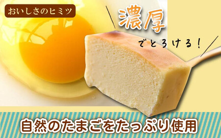 [037-a001_A] 敦賀のたまごやさんの 濃厚ニューヨークチーズケーキ（小）2個セット