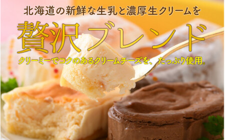 [009-a002] 港町半熟チーズケーキ 計10個 （プレーン5個、ショコラ5個）