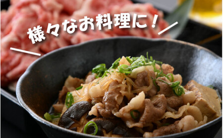 [002-a003] 若狭牛 切り落し 900g