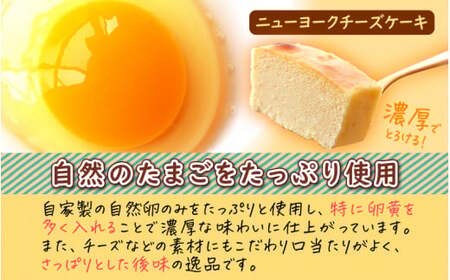 [037-a013_A] たまごやさんの濃厚ニューヨークチーズケーキ（大 420g）