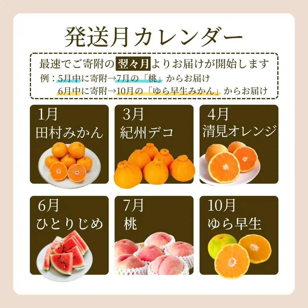 定期便【全6回】和歌山旬のフルーツ定期便【tkb314】