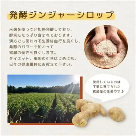 発酵ジンジャーシロップ(150g×3個)【非加熱発酵】【米入り】A7-12_野菜     惣菜・加工品     野菜 にんにく・生姜 根菜 ニンニク にんにく しょうが ショウガ  飲料・ドリンク  果汁飲料   飲料・ドリンク  ジュース   調味料   _【配送不可地域：離島】【1167965】