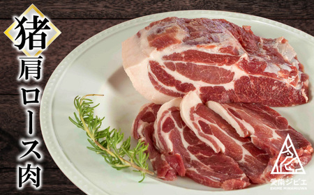 ジビエ 猪肉 3種 詰め合わせ 600g 猪 ジビエ 愛南ジビエ