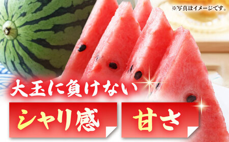 熊本スイカ先行予約 黒小玉スイカ(ひとりじめBonBon)2玉計約5kgすいか西瓜ZBY001