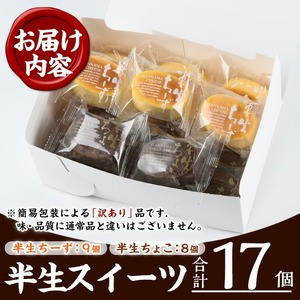 【訳あり！簡易包装】ご自宅用！半生ちーず 9個と半生ちょこ 8個   計17個【00-014-12】