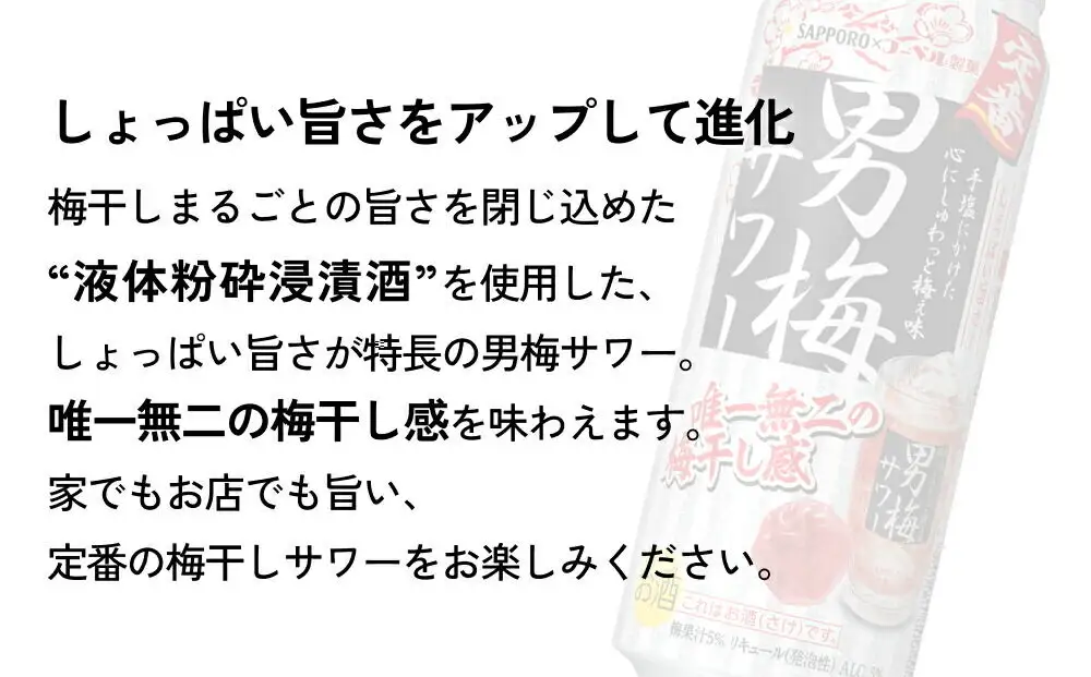 【定期便7ヶ月】サッポロ 男梅サワー 500ml×24缶(1ケース)(合計168缶) 缶 チューハイ 酎ハイ サワー