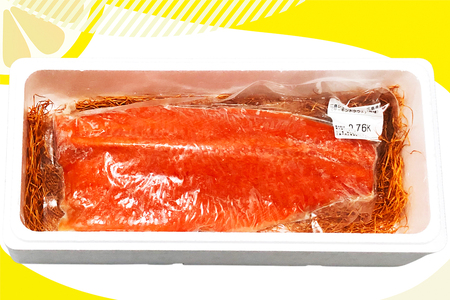 ＼TVで紹介／ 国産サーモン フィーレ 約700g 皮あり 半身 おろし身 広島レモンサーモン [1837]