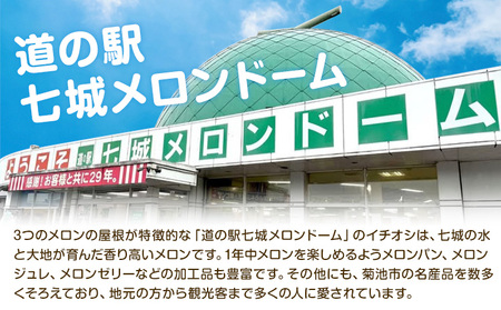 【先行予約】厳選 熊本県産のぶどうセット 約1kg 品種おまかせ ブラックビート ピオーネ 巨峰 【メロンドーム】 有限会社七城町特産品センター《8月上旬-8月末頃出荷》熊本県 菊池市 果物 フルーツ ぶどう ブドウ 葡萄 セット 食べ比べ 熊本県産 送料無料