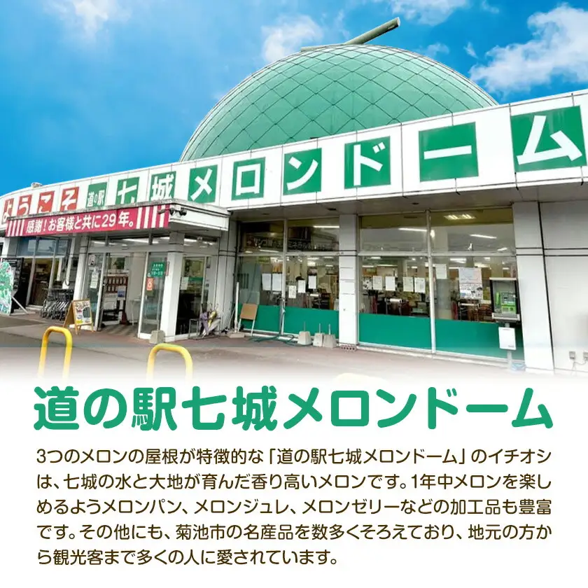 肥後グリーンメロン 1玉 2L以上【メロンドーム】 メロン 果物 フルーツ 九州産 熊本県産 送料無料【2026年5月中旬頃より出荷】【先行予約】