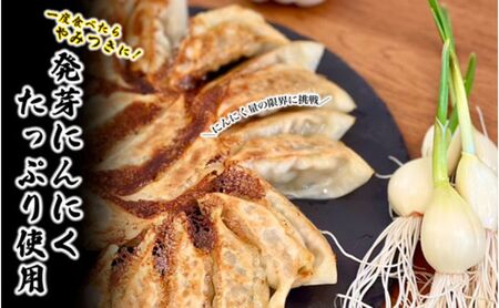 発芽にんにく餃子30個入り3パック　餃子 にんにく にんにくたっぷり 国産にんにく 発芽にんにく 冷凍 臭わない 栄養価抜群 スタミナ 免疫アップ おつまみ おかず 総菜 餃子専門店 ぎょうざ 工場直売 大量 まとめ買い 