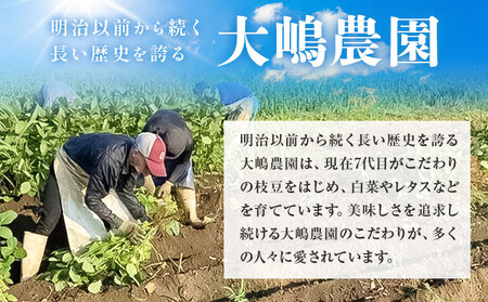 先行予約 枝豆4.5kg《2026年7月中旬-8月上旬頃出荷》【配送不可地域あり】