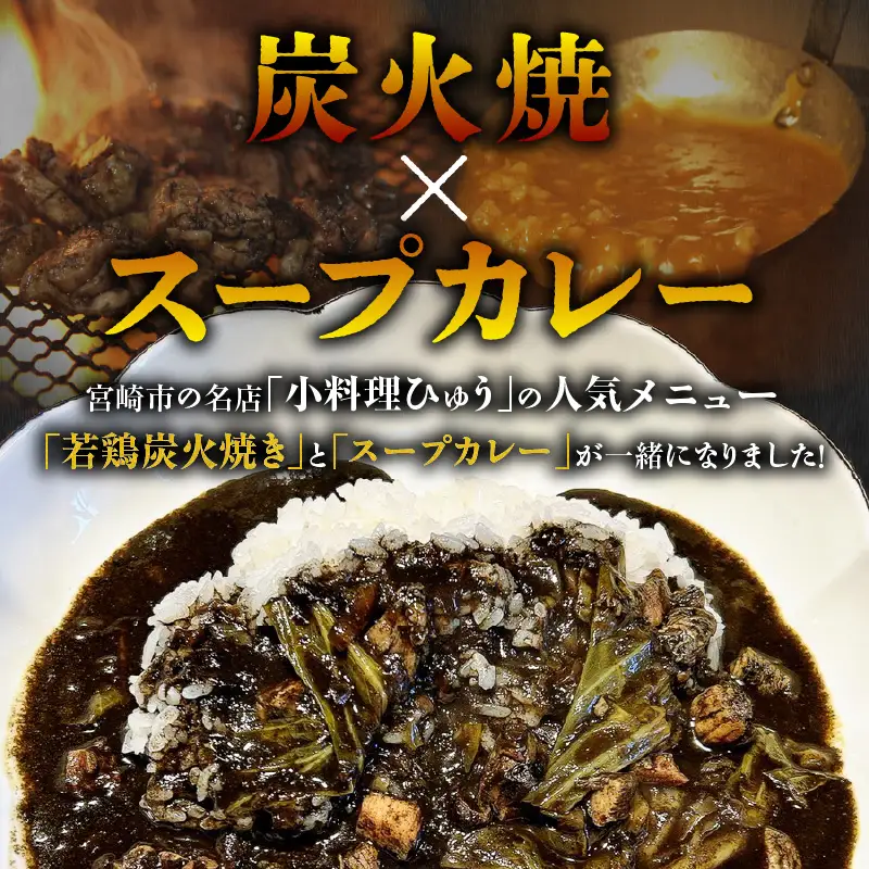 炭香る宮崎県産若鶏炭火焼スープカレー 計1.9kg スパイス ブレンド カレー