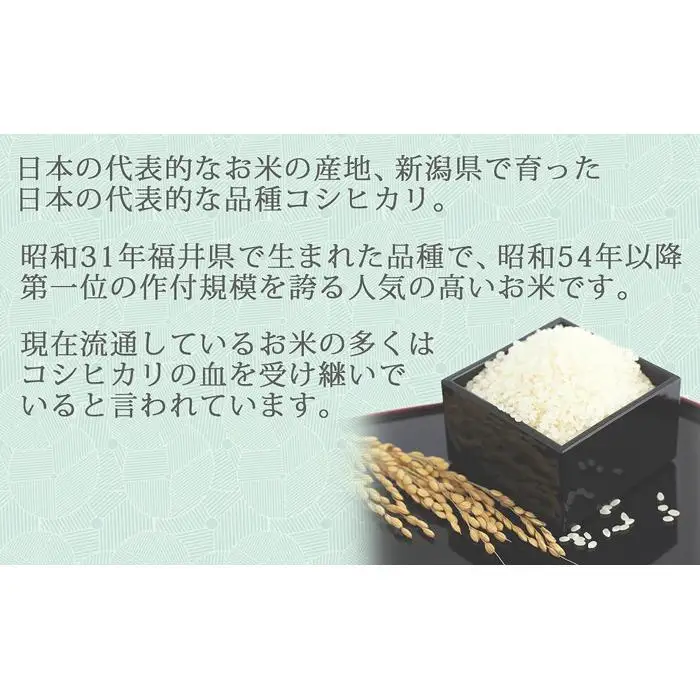 【定期便全6回】無洗米新潟県産コシヒカリ5kg（受注の翌月から毎月配送）