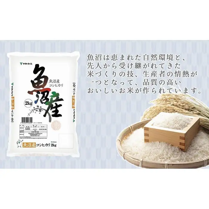 【定期便全6回】新潟県魚沼産コシヒカリ10kg（受注の翌月から毎月配送）