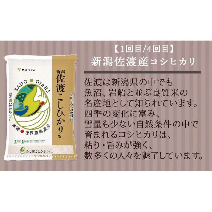 【定期便全6回】新潟県産米厳選食べ比べ 5kg（受注の翌月から毎月配送）