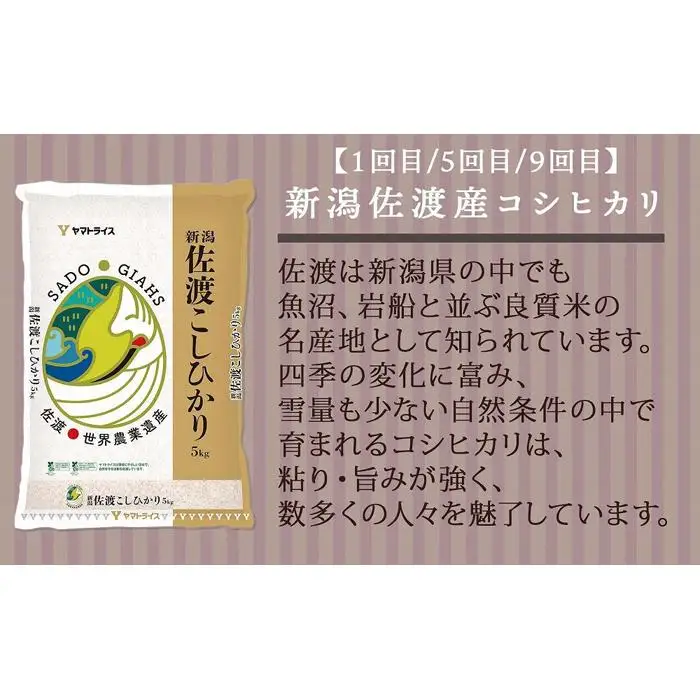 【定期便全12回】新潟県産米厳選食べ比べ 5kg（受注の翌月から毎月配送）