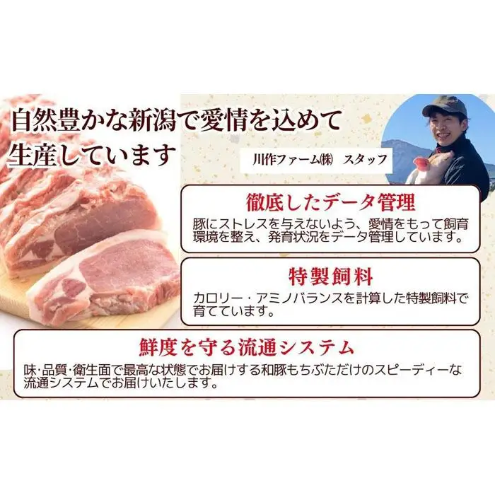 越後もちぶた(新潟県産和豚もちぶた) 上ロースステーキ 5枚