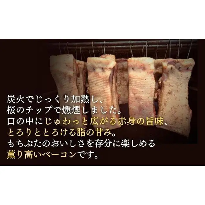 越後もちぶた(新潟県産和豚もちぶた) バラベーコンブロック 1kg