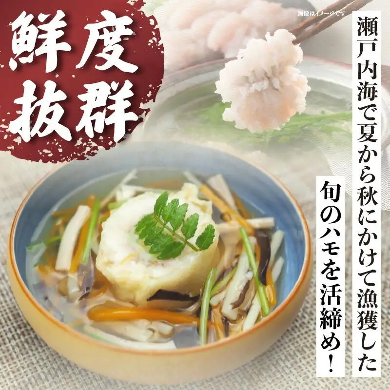 瀬戸内海のハモの骨切り（鍋・天ぷら用）