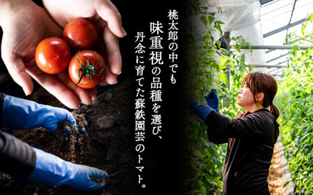 ご家庭用 トマト 桃太郎 約 2kg 訳あり | 野菜 やさい とまと 熊本県 玉名市 玉名