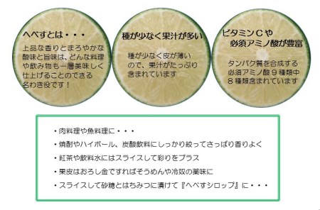 【期間限定発送】 へべす 訳あり 柑橘 ふぞろい 果実 5kg [山本農園 宮崎県 日向市 452060744]