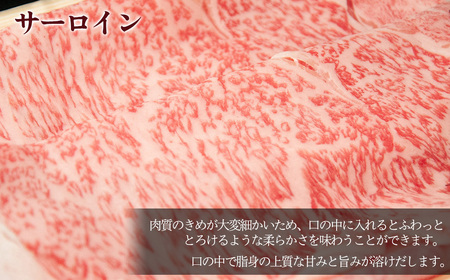 飛騨牛 サーロインすき焼き 730g【11-1007】