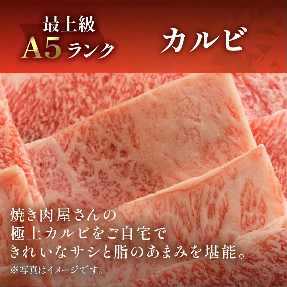 飛騨牛 特選霜降りカルビ 530g【11-1020】