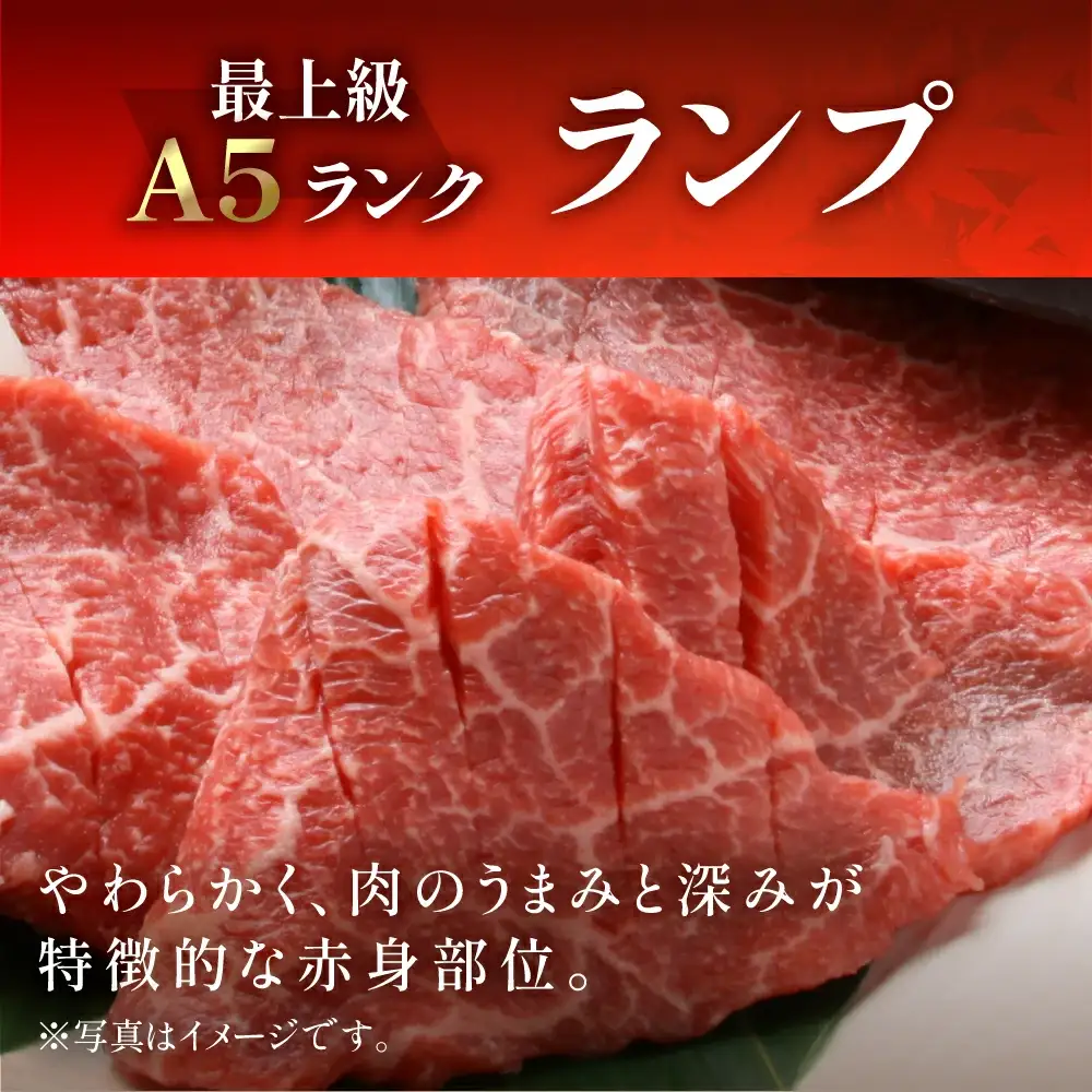 飛騨牛 ランプ焼肉 470g【11-1017】