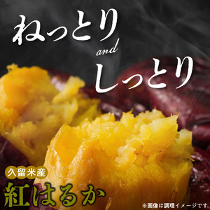 福岡県久留米市産　長期熟成紅はるか 5kg　M～2L　土付き 〔Gx036〕