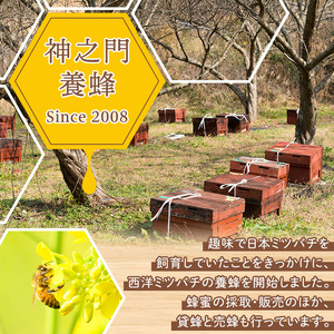 No.1074 鹿児島県産 はちみつ(600g×2本・計1.2kg) 国産 九州産 鹿児島県産 はちみつ ハチミツ 蜂蜜 山蜜 調味料 セット ギフト 贈答 プレゼント【神之門養蜂】