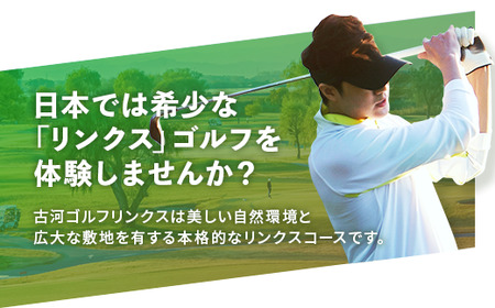古河ゴルフリンクス 施設利用券 30,000円分（1,000円×30枚） | ゴルフ ごるふ golf ゴルフ場 ゴルフリンクス リンクス プレー 利用券 古河市 _DP19