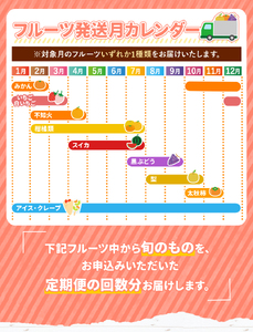 【 定期便 9回 】プチっと 堪能 ！家庭用 フルーツ定期便 |（ いちご 白いちご みかん 不知火 デコポン スイカ ぶどう 梨 柿 果物 ） フルーツ定期 フルーツ定期便 果物
