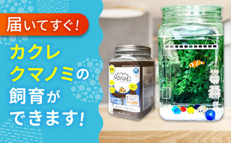 水槽 カクレクマノミ 飼育セット ボトルアクアリウムマリン2（キットのみ） [BACD002]