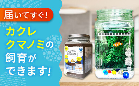 水槽 カクレクマノミ飼育セット（1ヶ月死亡補償付き）ボトルアクアリウムマリン2[BACD003]