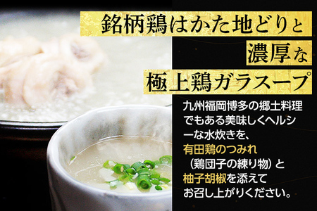 博多水炊き（はかた地どり切り身・つみれ）セット 2～3人前 お取り寄せグルメ お取り寄せ 福岡 お土産 九州 福岡土産 取り寄せ グルメ 福岡県