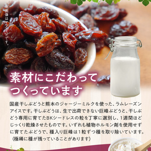 ラムレーズンアイス6個セット（2種の味わい）_ラムレーズン アイス 6個 セット 2種 x 各 3ヶ 国産干しぶどう ジャージーミルク ラムレーズンアイス ミルクアイス アイスクリーム スイーツ デザート おやつ カップ カップアイス 贈り物 福岡県 久留米市 お取り寄せ お取り寄せスイーツ 送料無料 〔Dw057〕