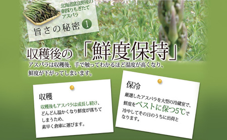 【2027年春発送】極太 グリーンアスパラ 3Lサイズ 1kg (スイートベジタブルファクトリー)