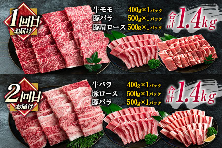 数量限定 6か月 お楽しみ 定期便 宮崎牛 豚肉 焼肉 セット 総重量8kg以上_N8-25