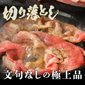 【冷凍】 前沢牛切り落としスライス (500g)  国産牛 [U0196]