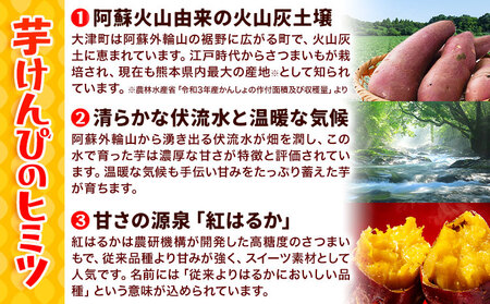 カリッカリ 紅はるかの芋けんぴ 500g (250g×2) 熊本県大津町産 無添加《30日以内に出荷予定(土日祝除く)》薩摩芋 さつまいも サツマイモ イモケンピ 保存料・着色料 不使用 メール便